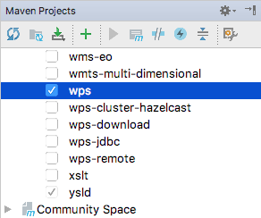 ../_images/intellij_run_profile.png